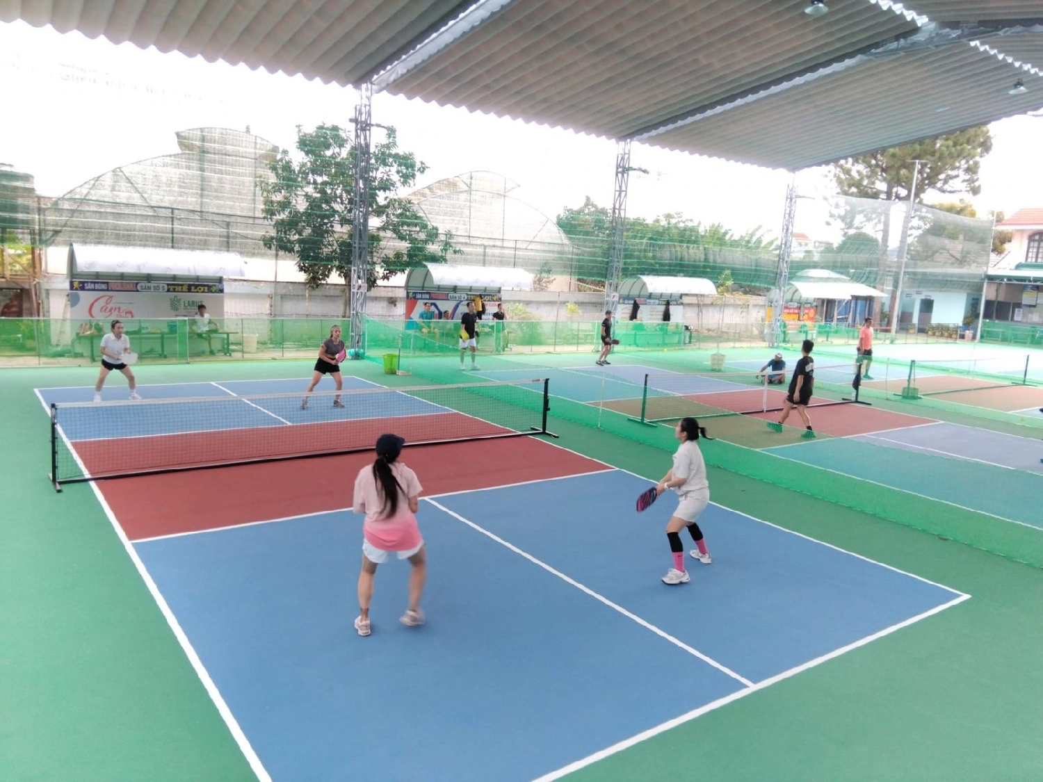 Giới thiệu sân Pickleball Thế Lợi