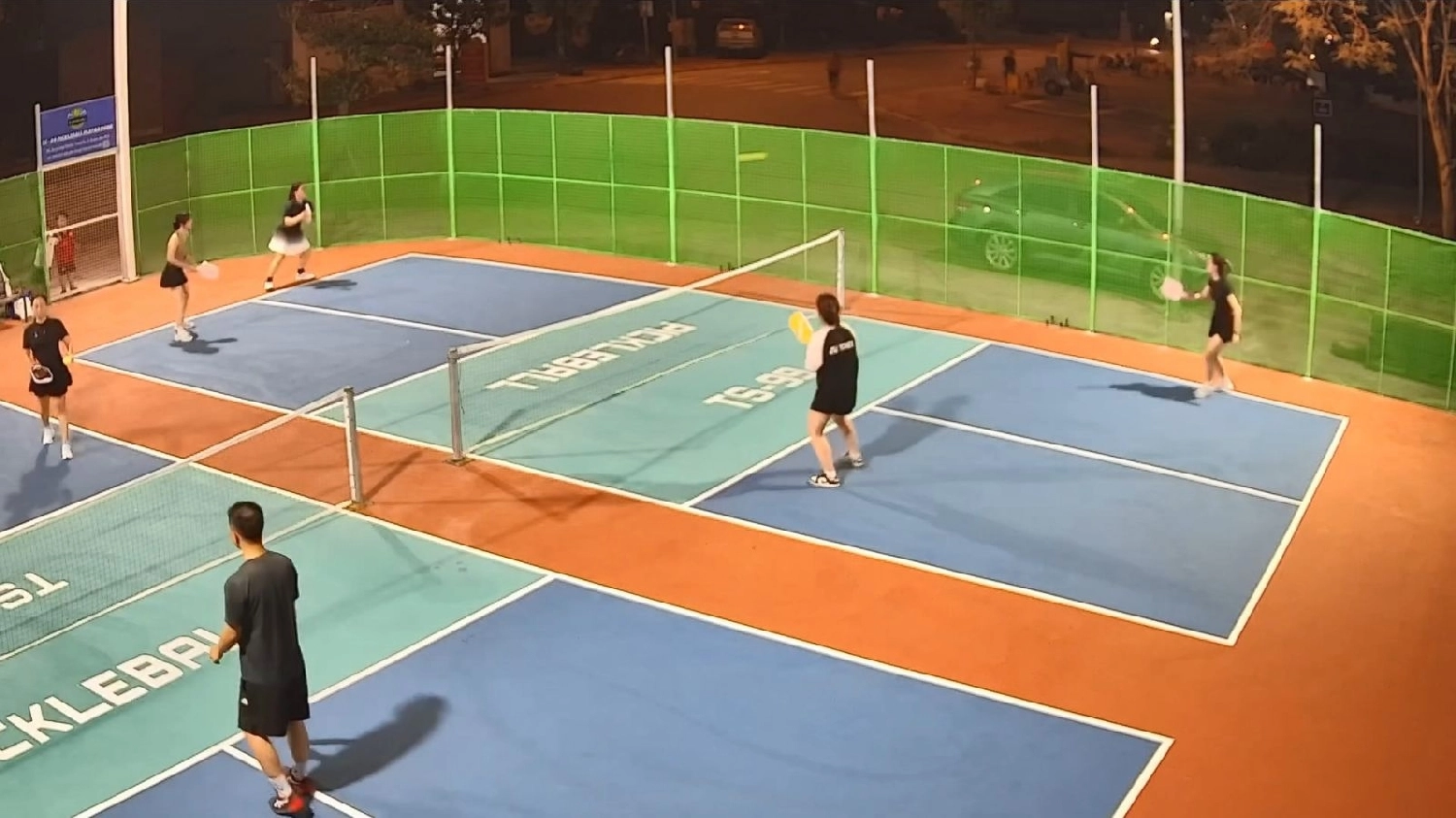 Sân Pickleball TS-99