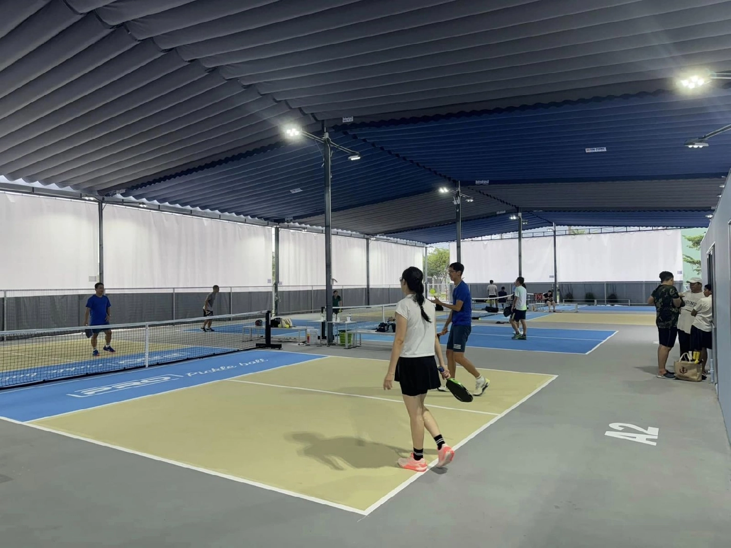 Sân Pro Pickleball