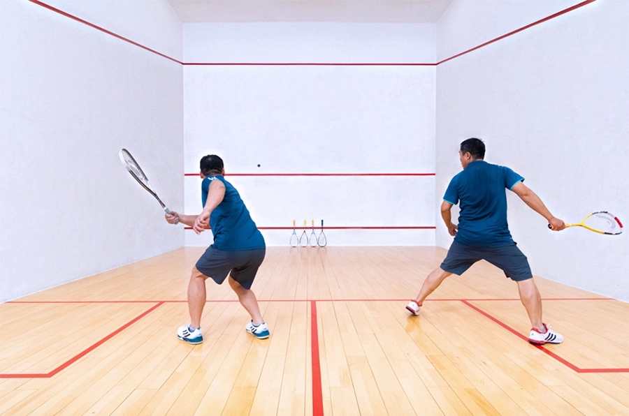 môn squash