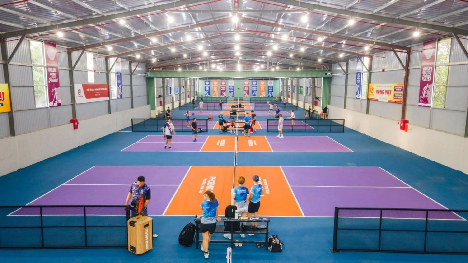 sân pickleball phoenix 8S