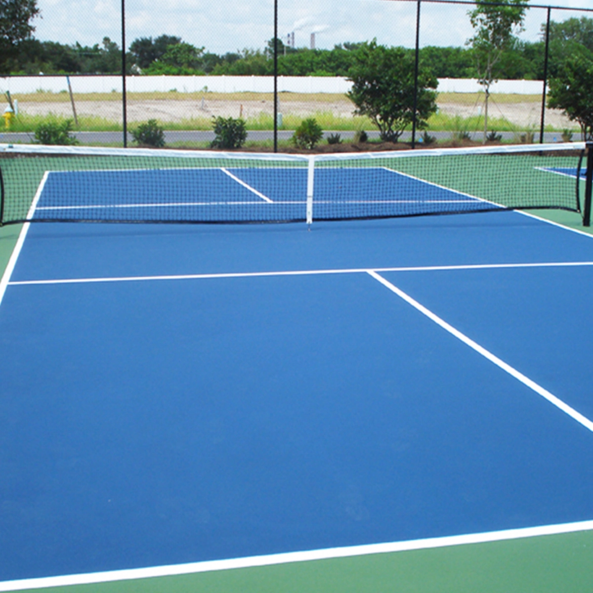 sân pickleball màu xanh lam và trắng