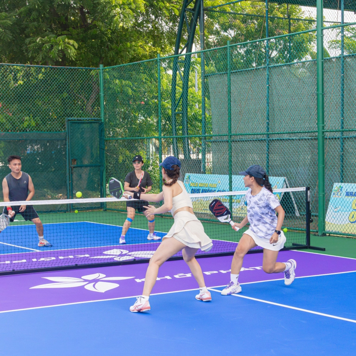 Hình ảnh màu sân pickleball đẹp