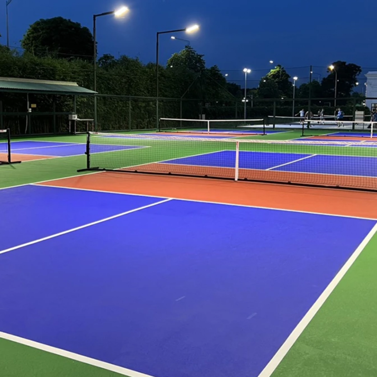 Hình ảnh màu sân pickleball
