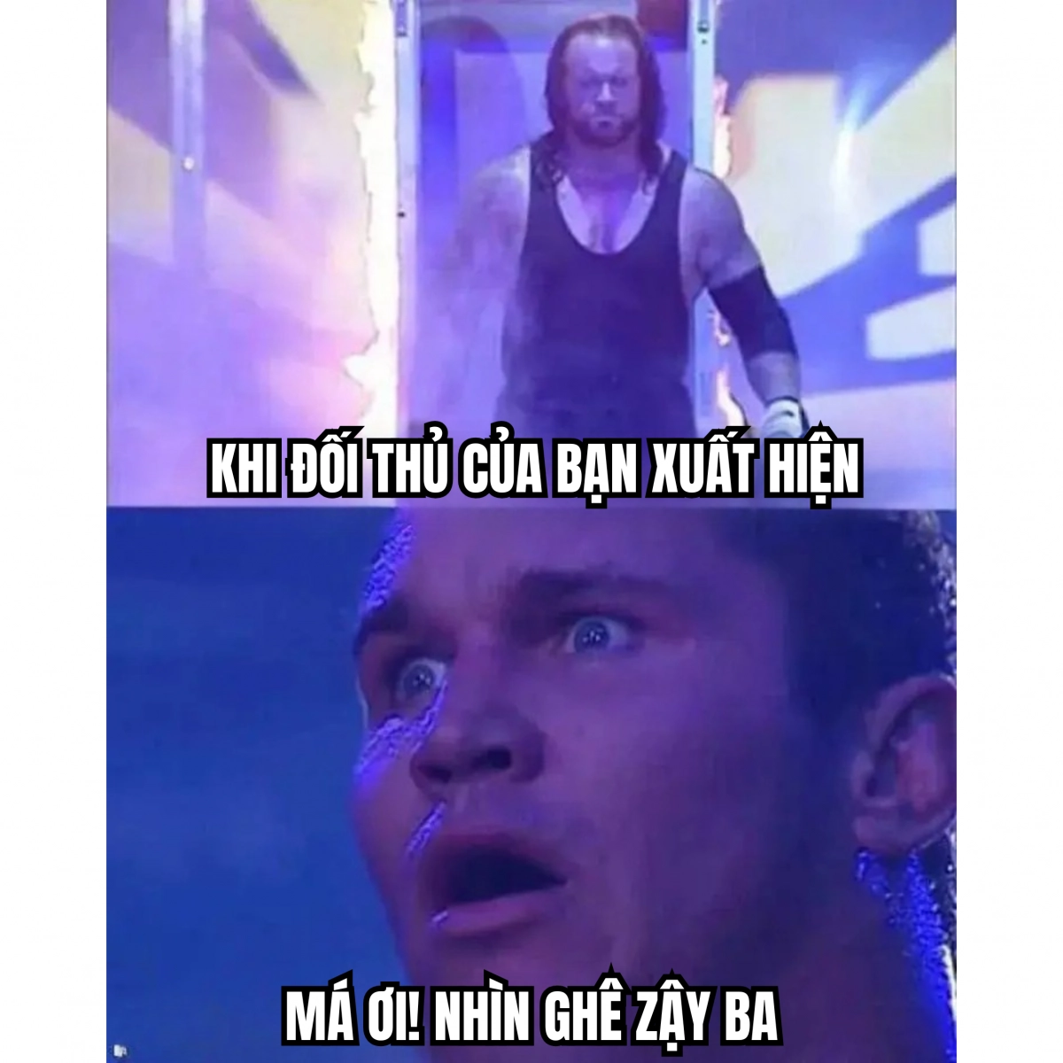 meme vui nhộn