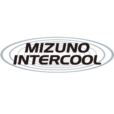 Intercool - Giày cầu lông Mizuno Wave Fang SS2 - Xám đen