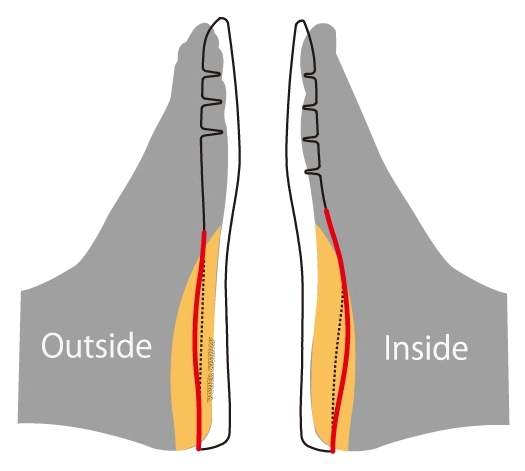 SYN CRO FIT INSOLE - Giày cầu lông Yonex Comfort 2 MX Cam