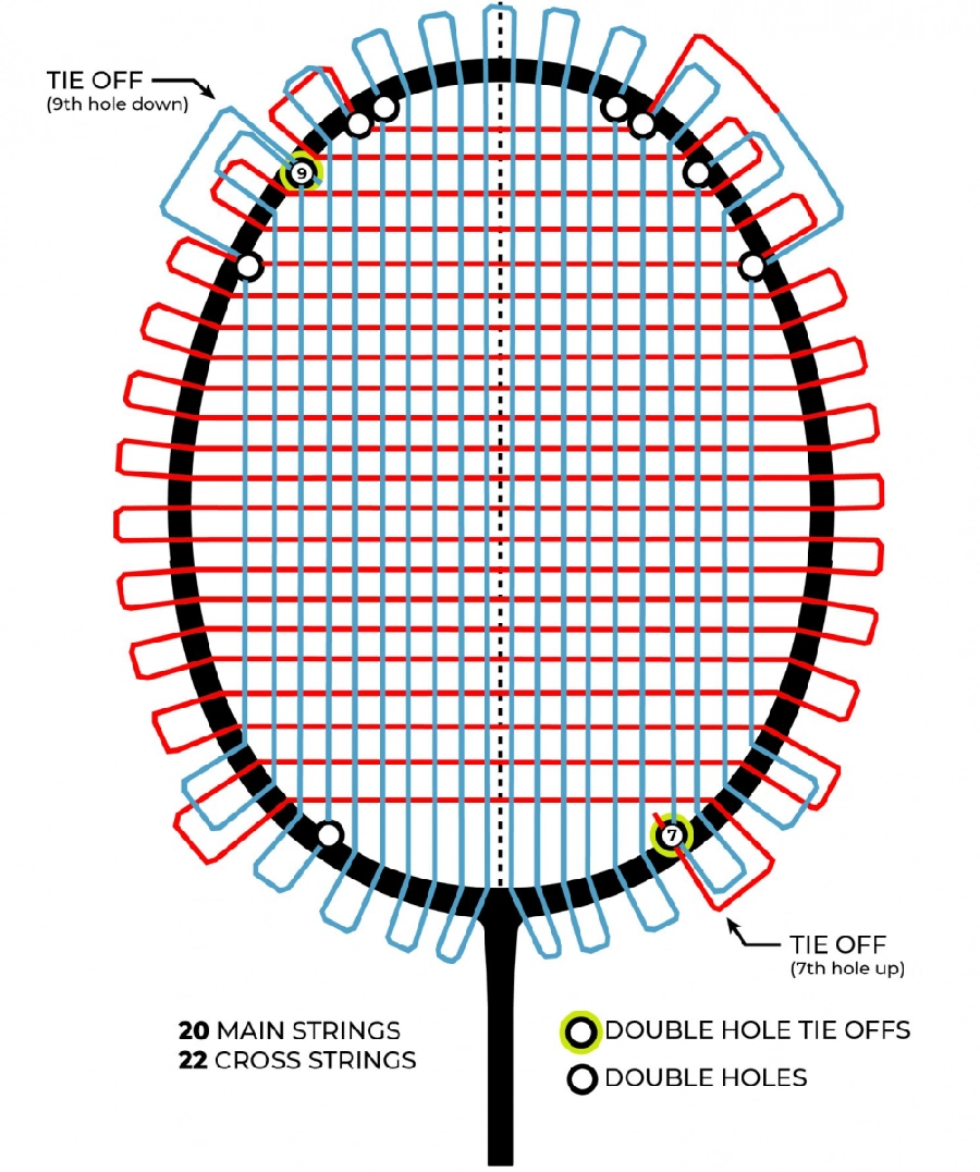 Mô hình phân bố số lỗ gen trên một cây vợt cầu lông
