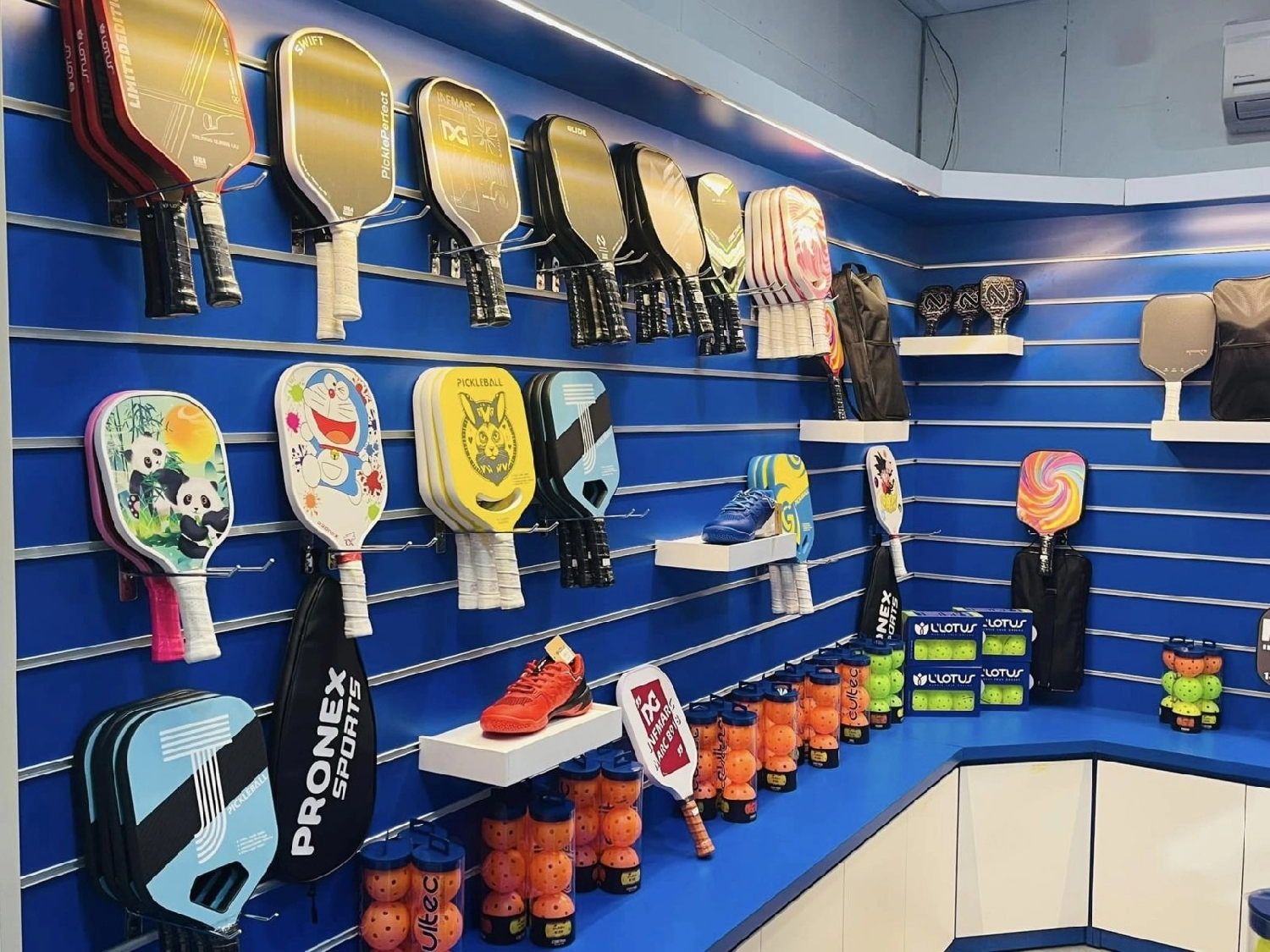 M Shop Pickleball V i M c Gi 300 Tri u ng H ng D n T ng B c 