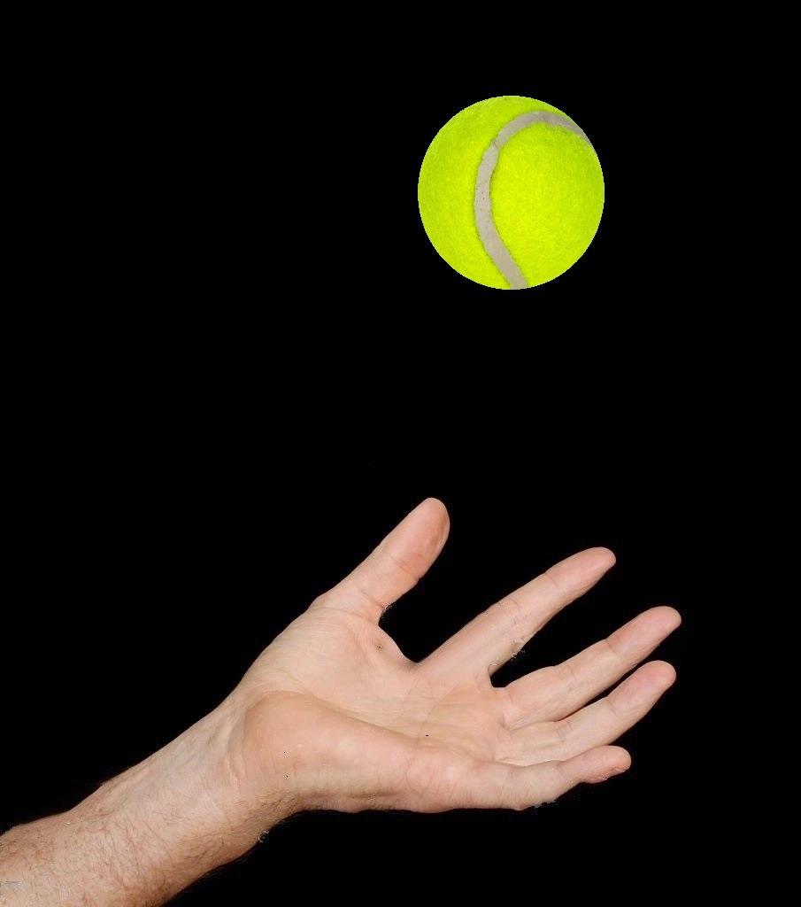 Tập phản xạ với bóng tennis