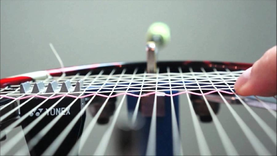Shop đan vợt cầu lông nào tại Nha Trang chất lượng nhất ? - Tân Lộc Sports