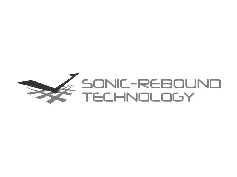 SONIC-REBOUND TECHNOLOGY - Victor DriveX 6666R