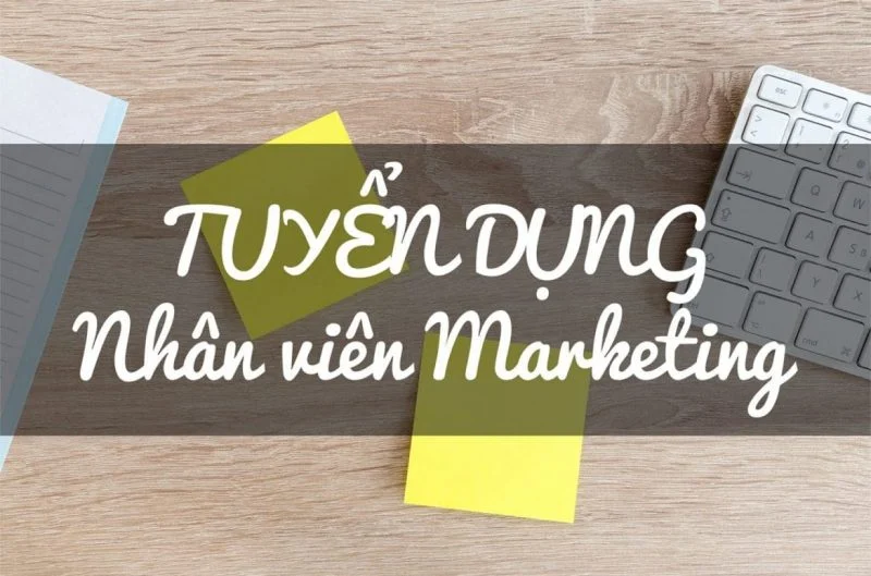 CÔNG TY TNHH VNB SPORTS TUYỂN DỤNG NHÂN VIÊN MARKETING